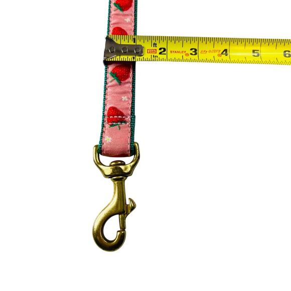 Up Country Strawberry Fields Dog Medium Collar Matching Lead Leash 2PC Set USA - Picture 10 of 14